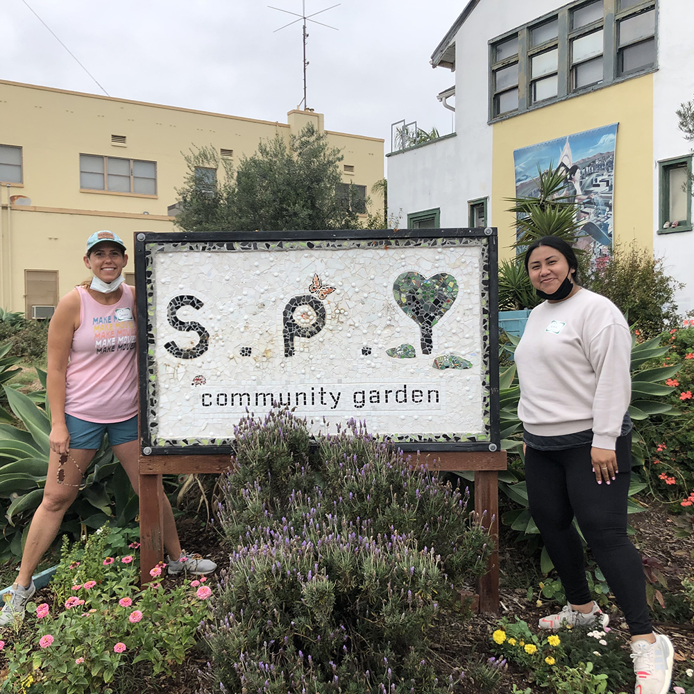 S.P.Y. Safe Place for Youth Volunteering
