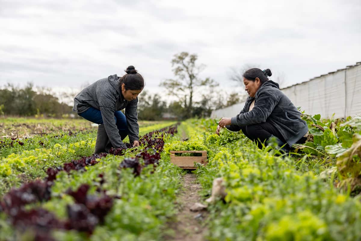 Immigrant Workers' Rights in California